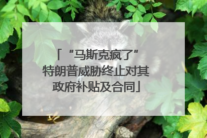 “马斯克疯了” 特朗普威胁终止对其政府补贴及合同