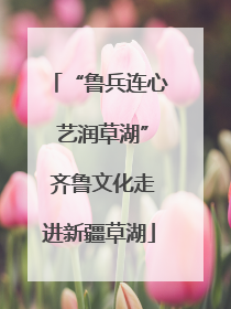 “鲁兵连心 艺润草湖” 齐鲁文化走进新疆草湖