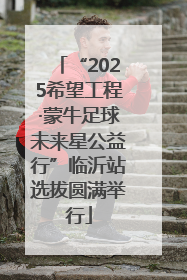 “2025希望工程·蒙牛足球未来星公益行”临沂站选拔圆满举行