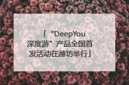 “DeepYou深度游”产品全国首发活动在潍坊举行
