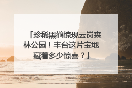 珍稀黑鹳惊现云岗森林公园！丰台这片宝地藏着多少惊喜？