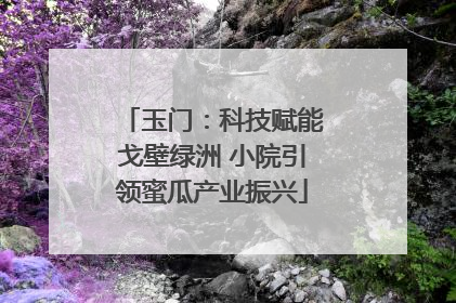 玉门：科技赋能戈壁绿洲 小院引领蜜瓜产业振兴