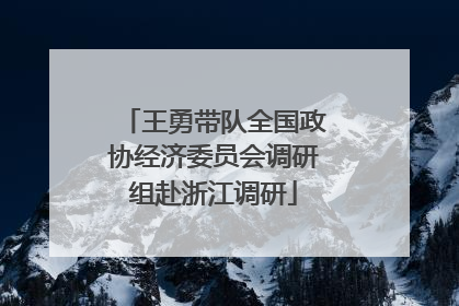 王勇带队全国政协经济委员会调研组赴浙江调研