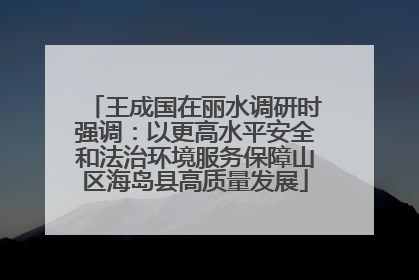 王成国在丽水调研时强调：以更高水平安全和法治环境服务保障山区海岛县高质量发展