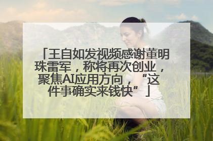 王自如发视频感谢董明珠雷军，称将再次创业，聚焦AI应用方向，“这件事确实来钱快”