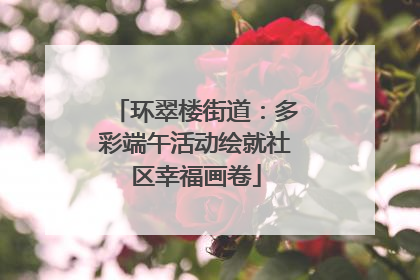 环翠楼街道：多彩端午活动绘就社区幸福画卷