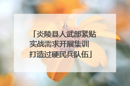 炎陵县人武部紧贴实战需求开展集训 打造过硬民兵队伍