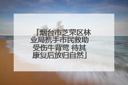 烟台市芝罘区林业局携手市民救助受伤牛背鹭 待其康复后放归自然