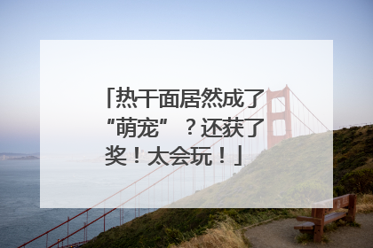 热干面居然成了“萌宠”？还获了奖！太会玩！
