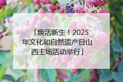 焕活新生！2025年文化和自然遗产日山西主场活动举行