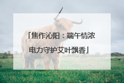 焦作沁阳：端午情浓 电力守护艾叶飘香