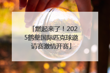 燃起来了！2025鹤壁国际匹克球邀请赛激情开赛