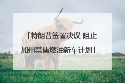 特朗普签署决议 阻止加州禁售燃油新车计划