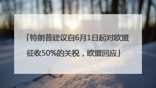 特朗普建议自6月1日起对欧盟征收50%的关税，欧盟回应