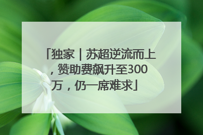 独家｜苏超逆流而上，赞助费飙升至300万，仍一席难求