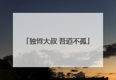 独臂大叔 吾道不孤