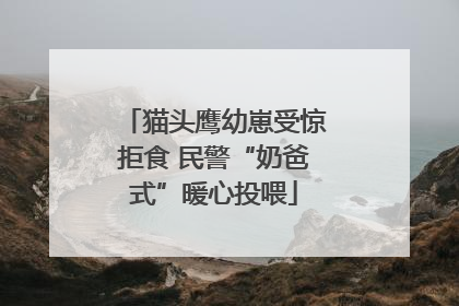 猫头鹰幼崽受惊拒食 民警“奶爸式”暖心投喂