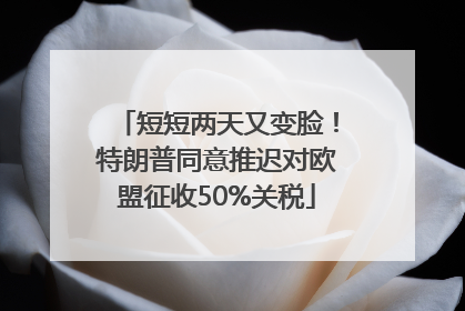 短短两天又变脸！特朗普同意推迟对欧盟征收50%关税