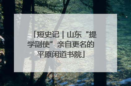 短史记｜山东“提学副使”亲自更名的平原闲道书院