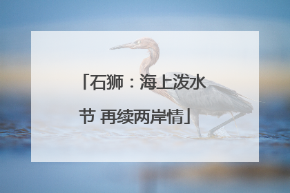 石狮：海上泼水节 再续两岸情