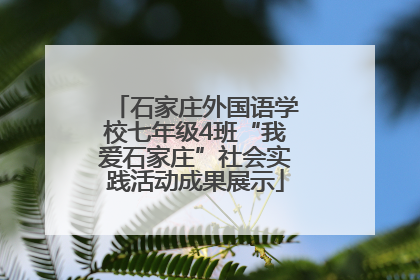 石家庄外国语学校七年级4班“我爱石家庄”社会实践活动成果展示