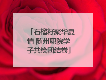 石榴籽聚华夏情 随州职院学子共绘团结卷