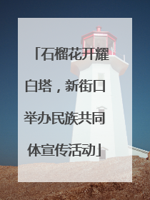 石榴花开耀白塔，新街口举办民族共同体宣传活动