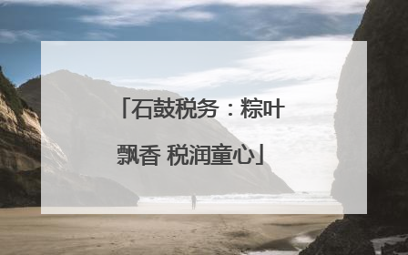 石鼓税务：粽叶飘香 税润童心