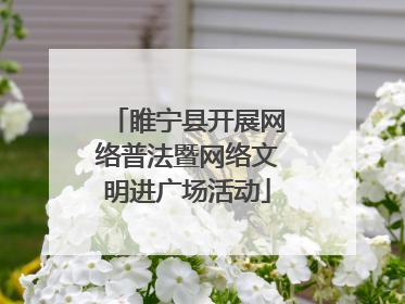 睢宁县开展网络普法暨网络文明进广场活动