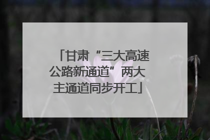 甘肃“三大高速公路新通道”两大主通道同步开工