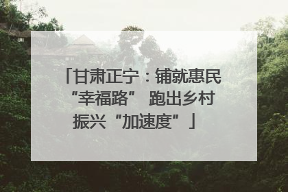 甘肃正宁：铺就惠民“幸福路” 跑出乡村振兴“加速度”
