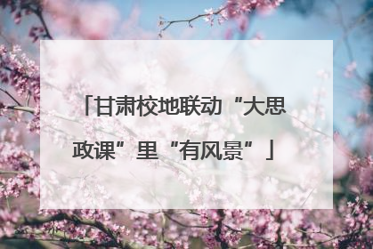 甘肃校地联动“大思政课”里“有风景”