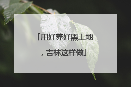 用好养好黑土地，吉林这样做