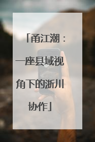 甬江潮：一座县域视角下的浙川协作