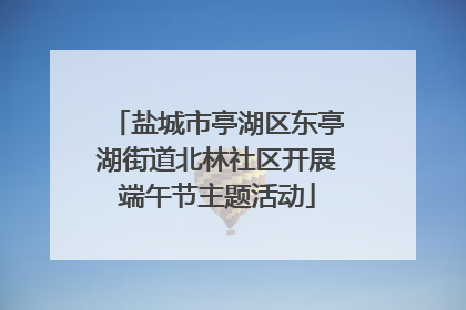盐城市亭湖区东亭湖街道北林社区开展端午节主题活动