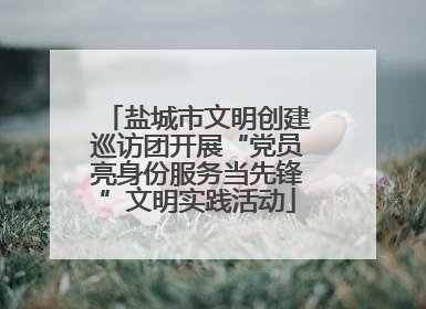 盐城市文明创建巡访团开展“党员亮身份服务当先锋”文明实践活动