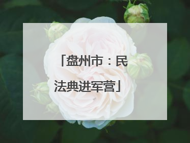 盘州市：民法典进军营