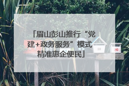 眉山彭山推行“党建+政务服务”模式 精准惠企便民