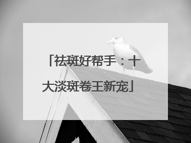 祛斑好帮手：十大淡斑卷王新宠
