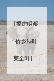 福建明溪：侨乡绿叶变金叶