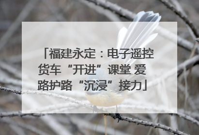 福建永定：电子遥控货车“开进”课堂 爱路护路“沉浸”接力