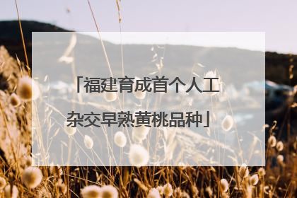 福建育成首个人工杂交早熟黄桃品种