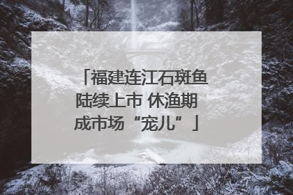 福建连江石斑鱼陆续上市 休渔期成市场“宠儿”