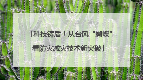 科技铸盾！从台风“蝴蝶” 看防灾减灾技术新突破