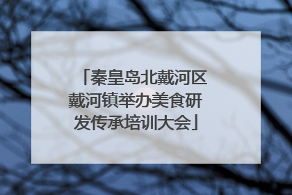 秦皇岛北戴河区戴河镇举办美食研发传承培训大会