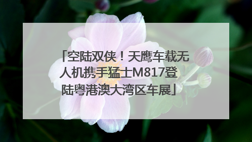 空陆双侠！天鹰车载无人机携手猛士M817登陆粤港澳大湾区车展