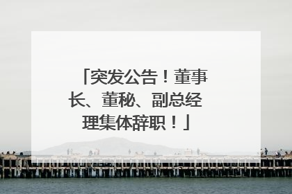 突发公告！董事长、董秘、副总经理集体辞职！