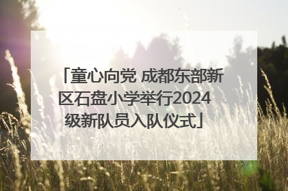 童心向党 成都东部新区石盘小学举行2024级新队员入队仪式