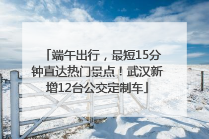 端午出行，最短15分钟直达热门景点！武汉新增12台公交定制车