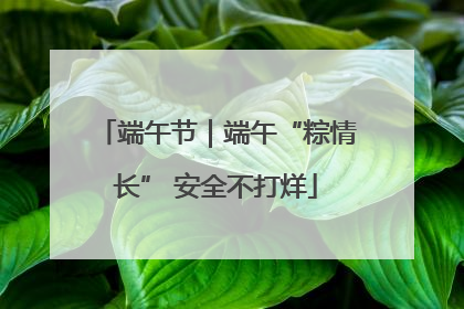 端午节｜端午“粽情长” 安全不打烊